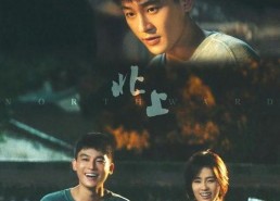 国产剧情视频,情感纠葛与时代变迁的交织