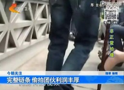 国产黄毛片,揭秘我国影视产业的独特魅力与挑战