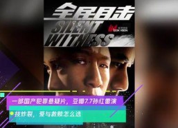 国产片在线看,畅享国产片精彩瞬间