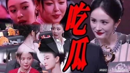 娱乐圈吃瓜在线看免费,免费在线看吃瓜盛宴，带你领略明星幕后故事